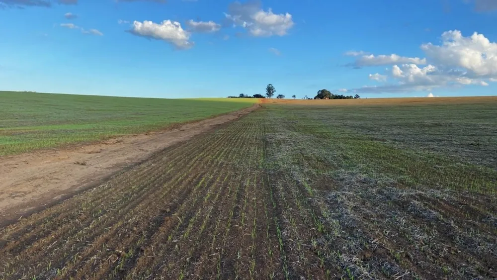 Fazenda, 400 hectares - Foto 1