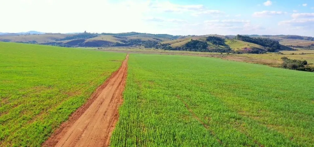 Fazenda, 400 hectares - Foto 5
