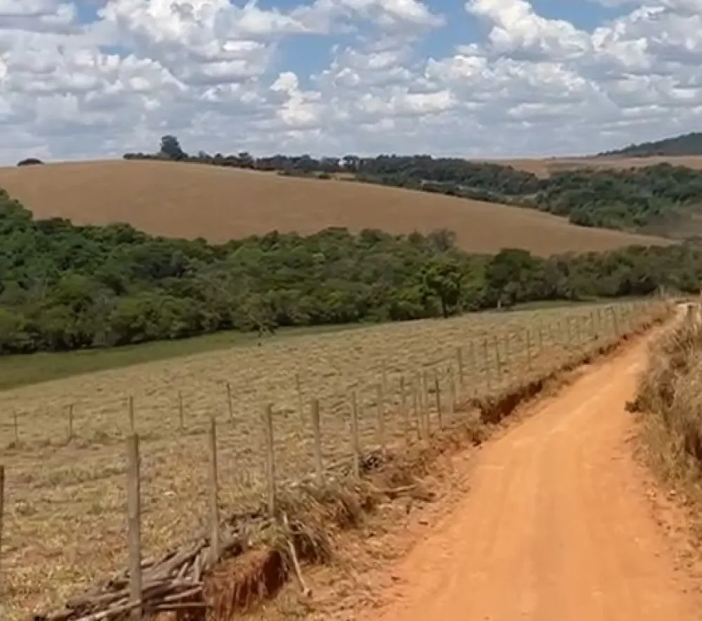 Fazenda, 400 hectares - Foto 8