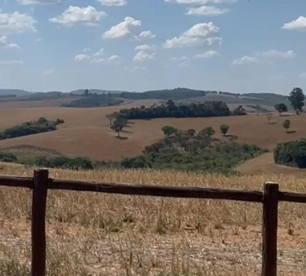 Fazenda, 400 hectares - Foto 11