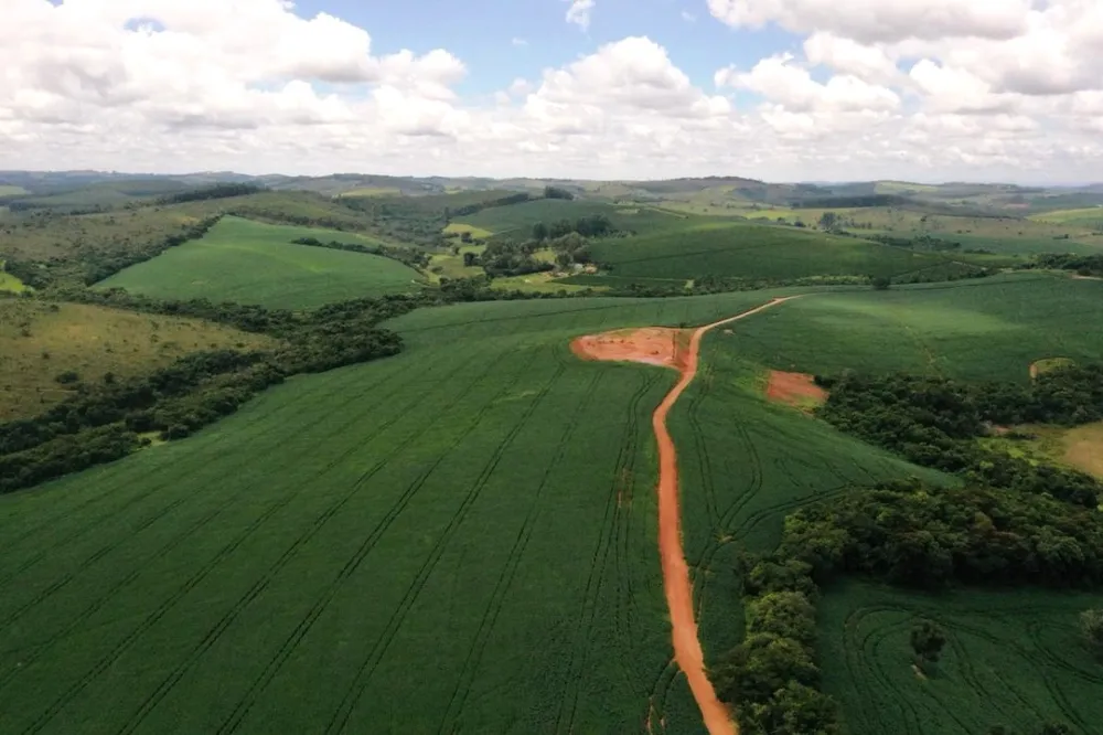Fazenda, 400 hectares - Foto 9