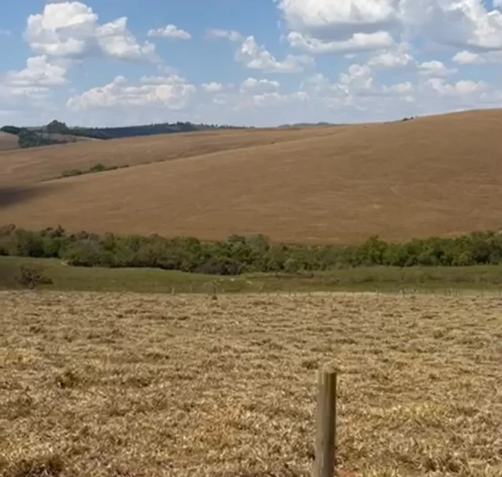 Fazenda, 400 hectares - Foto 9