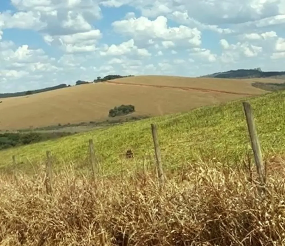 Fazenda, 400 hectares - Foto 7