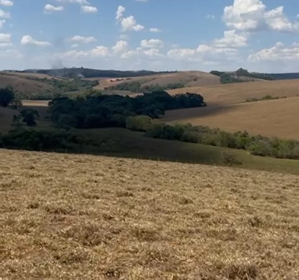 Fazenda, 400 hectares - Foto 10