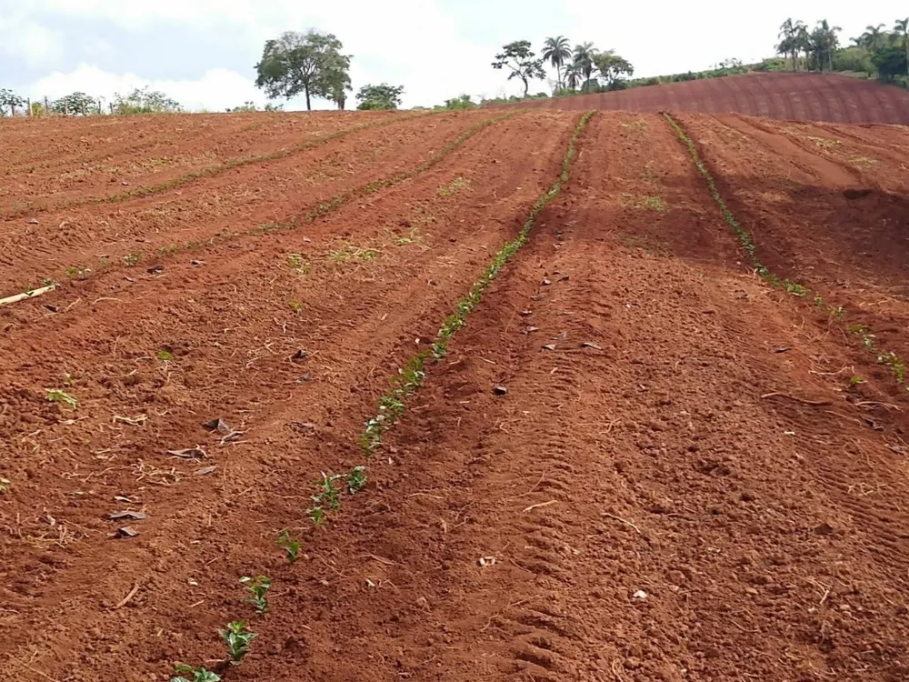 Fazenda, 64 hectares - Foto 3