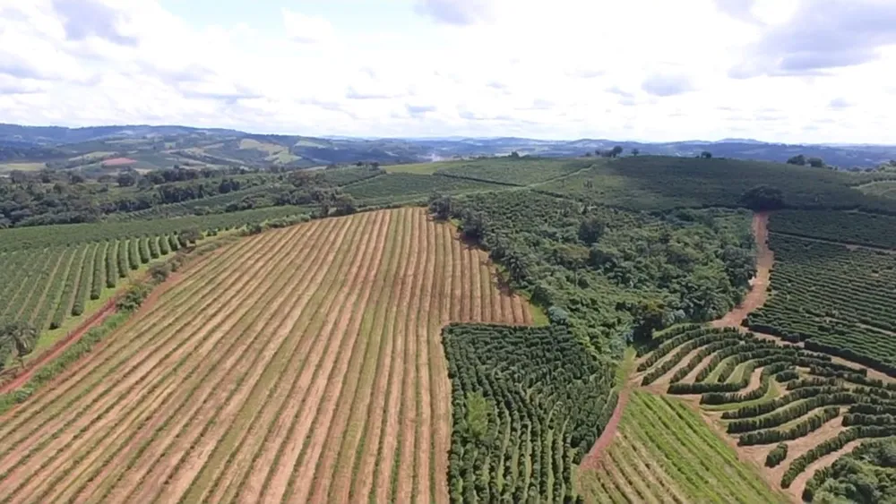 Fazenda, 64 hectares - Foto 8