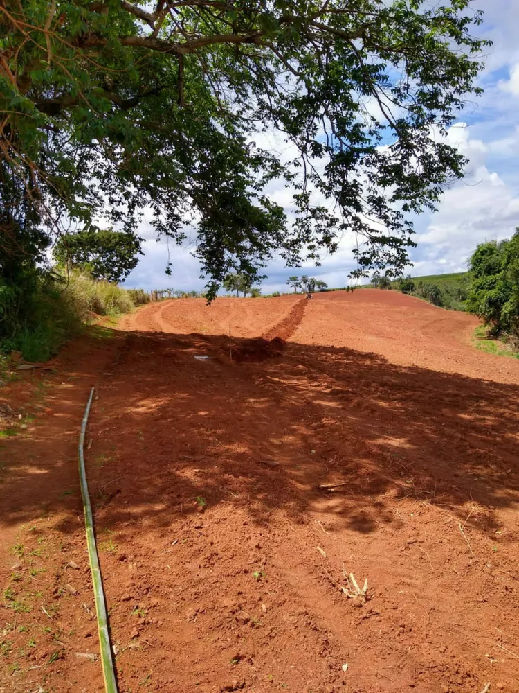 Fazenda, 64 hectares - Foto 7