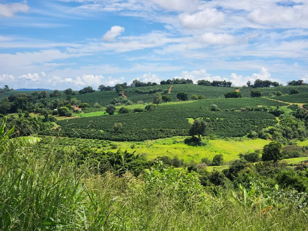 Fazenda, 64 hectares - Foto 2