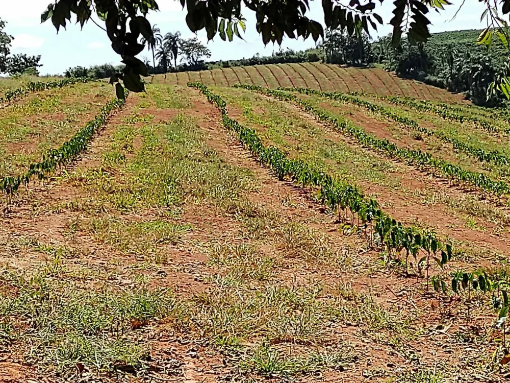 Fazenda, 64 hectares - Foto 1