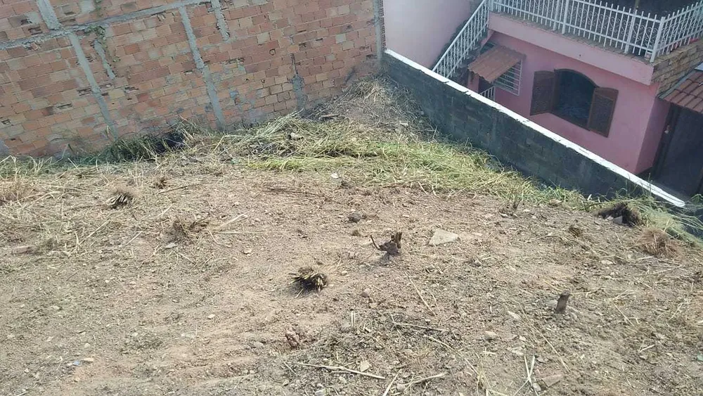 Terreno, 360 m² - Foto 4