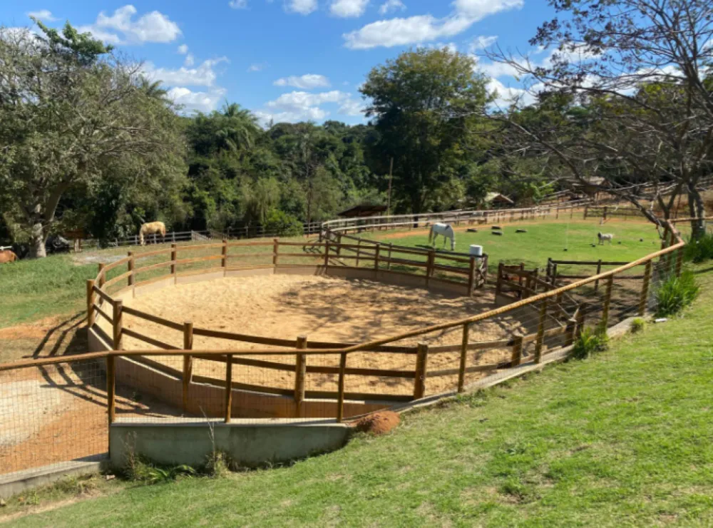 Sítio, 5 quartos, 6 hectares - Foto 1
