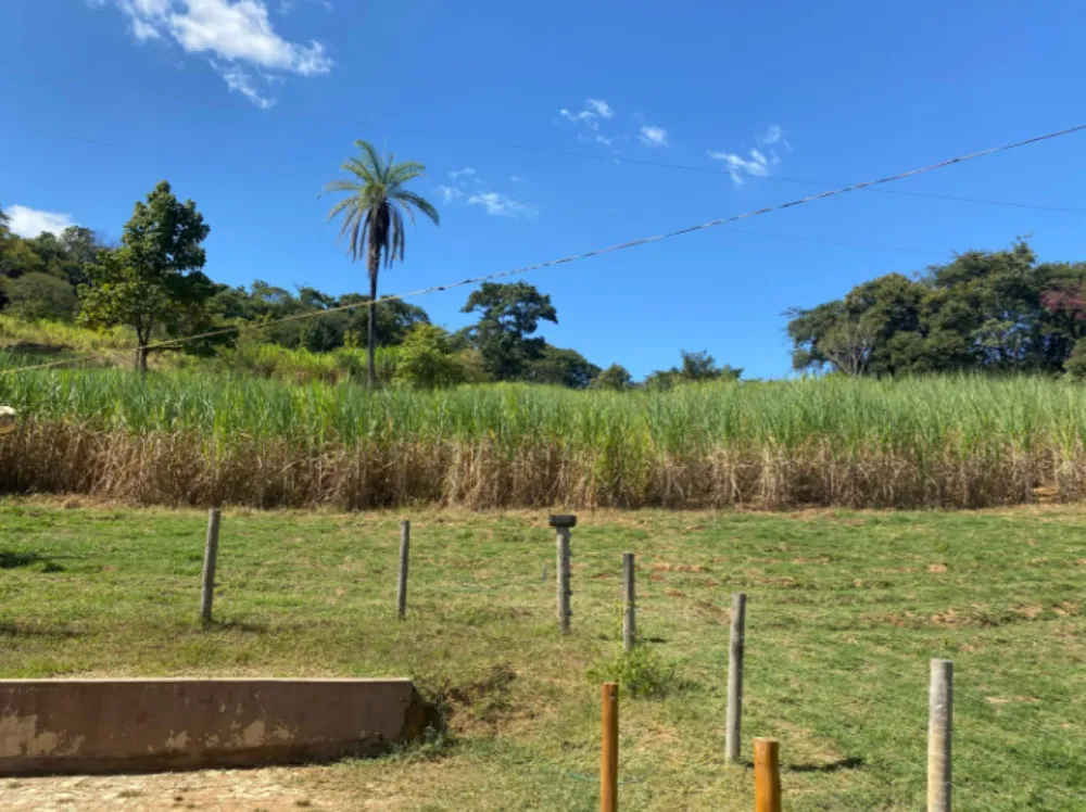 Sítio, 5 quartos, 6 hectares - Foto 13