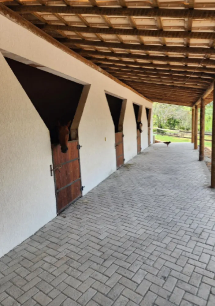 Sítio, 5 quartos, 6 hectares - Foto 6
