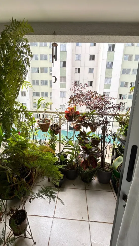 Apartamento, 3 quartos, 80 m² - Foto 3