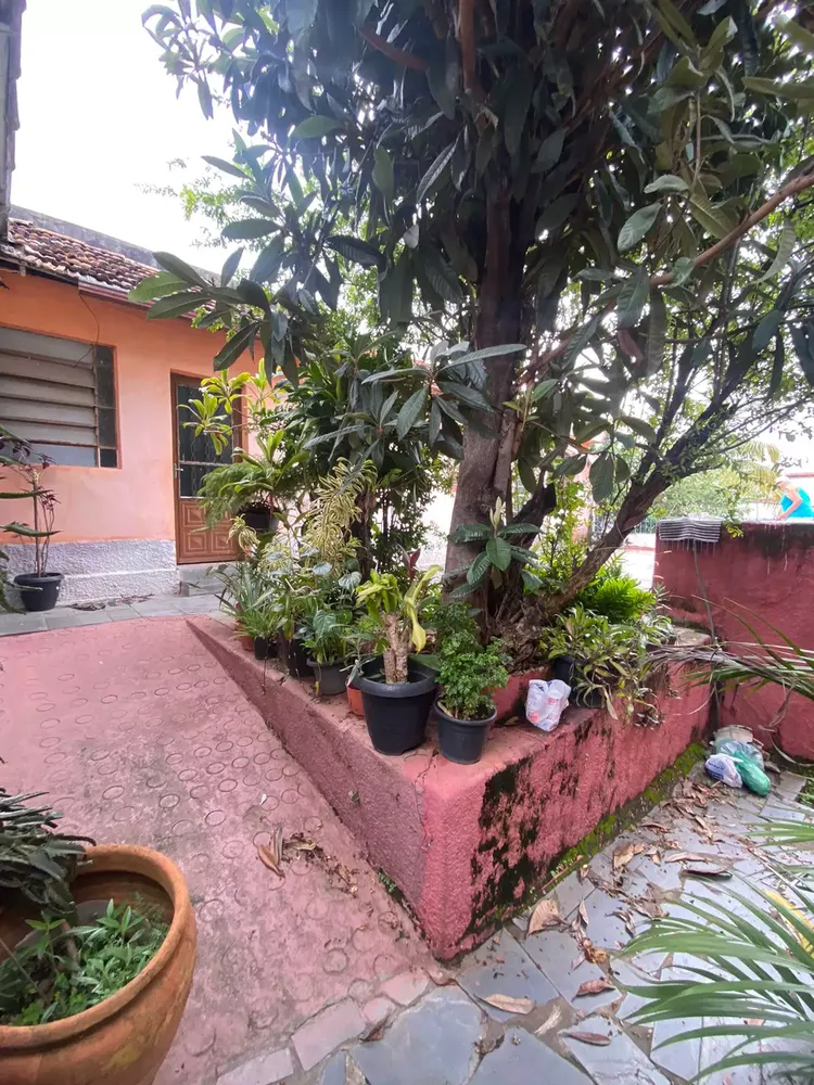 Casa, 7 quartos, 330 m² - Foto 7