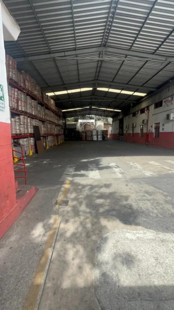 Depósito-Galpão, 10000 m² - Foto 3