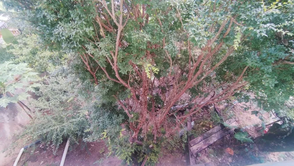 Casa, 8 quartos, 300 m² - Foto 3