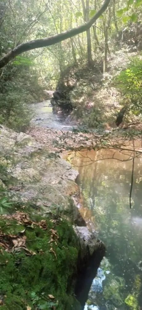 Chácara, 1 quarto - Foto 4