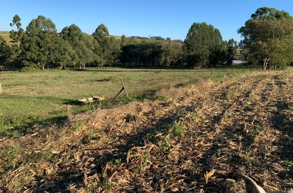 Fazenda, 487 hectares - Foto 5