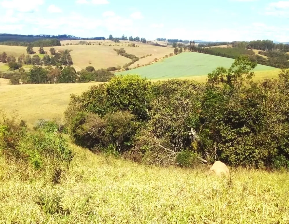 Fazenda, 487 hectares - Foto 6