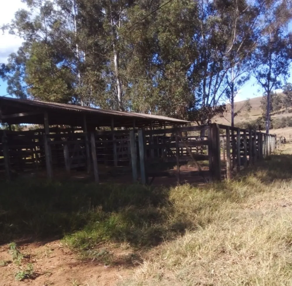 Fazenda, 487 hectares - Foto 10