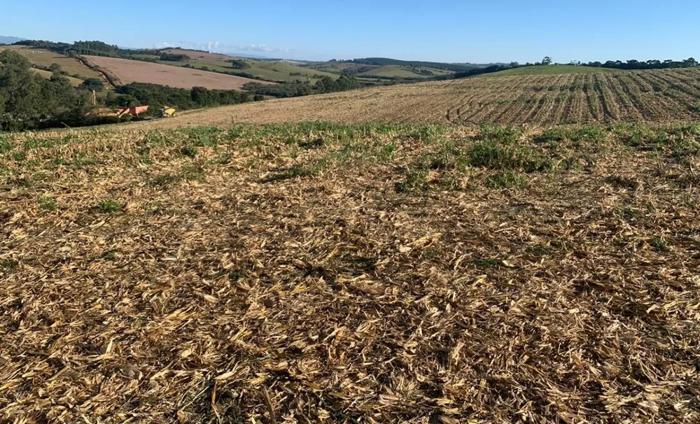 Fazenda, 487 hectares - Foto 4