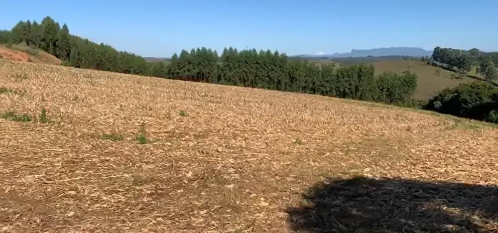 Fazenda, 487 hectares - Foto 1
