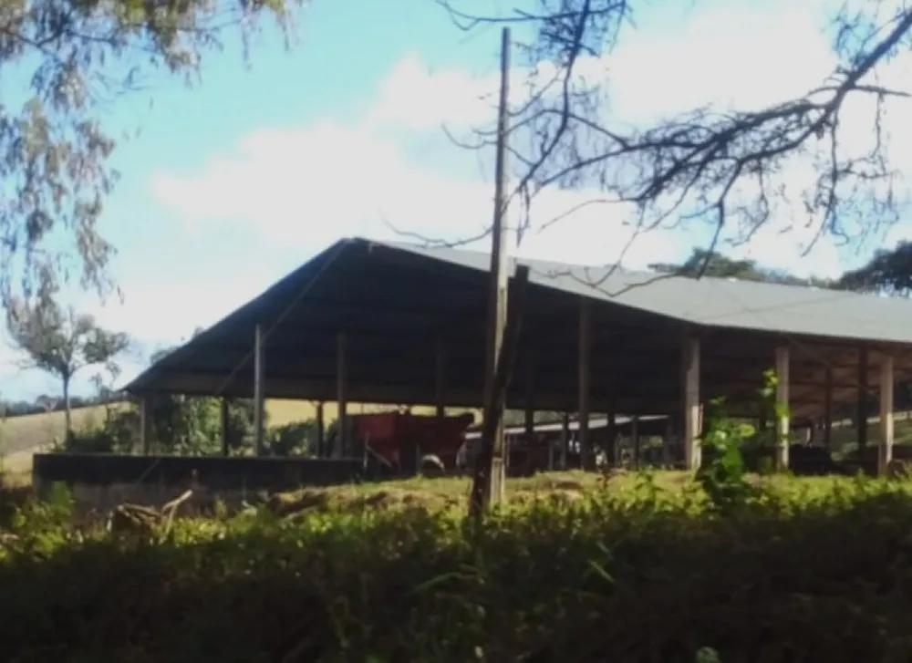 Fazenda, 487 hectares - Foto 11