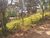 Terreno, 300 m² - Foto 5