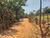 Terreno, 300 m² - Foto 1