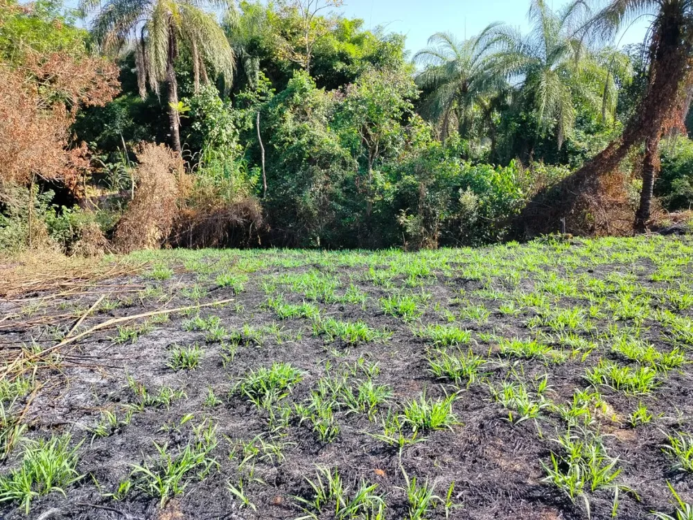 Terreno, 1400 m² - Foto 5