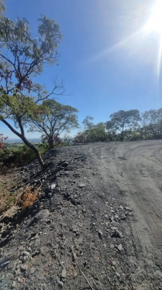 Chácara, 1 quarto, 3000 m² - Foto 3