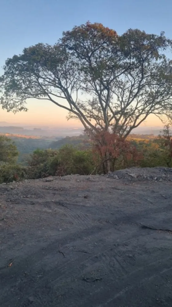 Chácara, 1 quarto, 3000 m² - Foto 1
