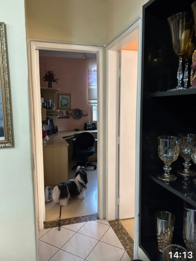 Apartamento, 3 quartos, 75 m² - Foto 7