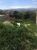 Terreno, 200 m² - Foto 5