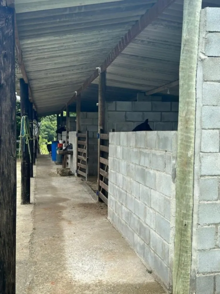 Chácara, 1 quarto, 9000 m² - Foto 3