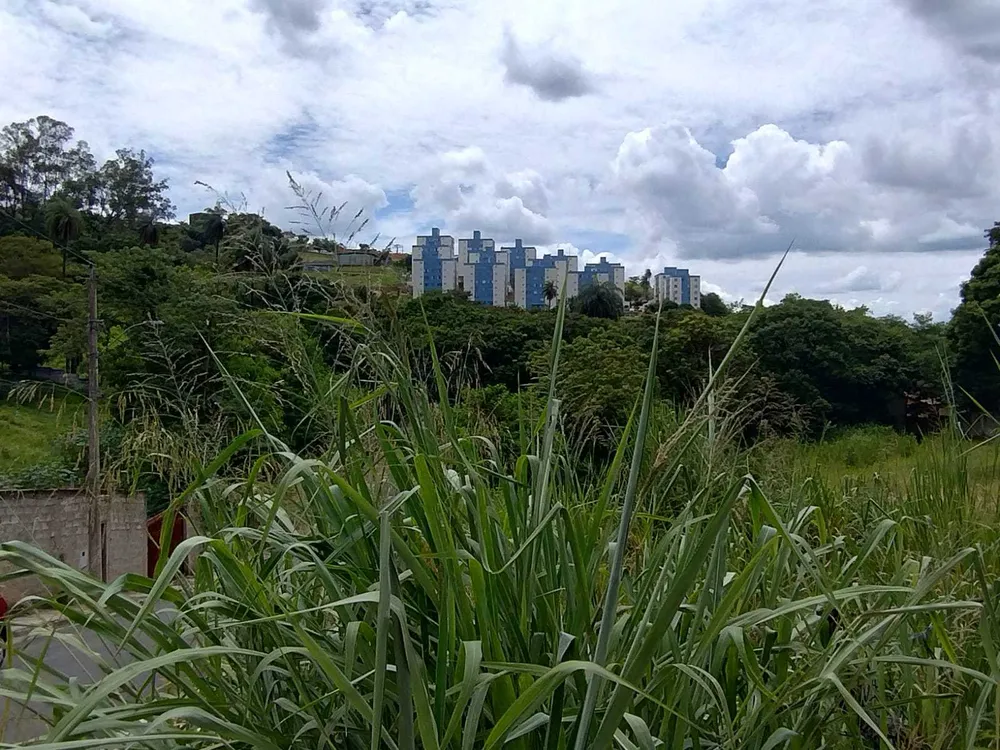 Terreno, 6500 m² - Foto 3