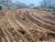Terreno, 372 m² - Foto 1