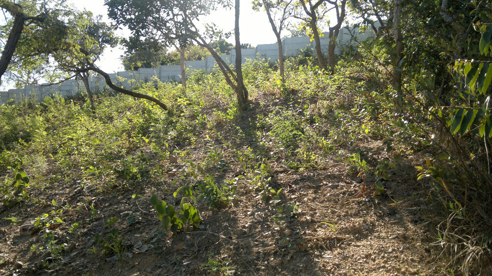 Terreno à venda, 360m² - Foto 2