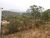 Terreno, 360 m² - Foto 6