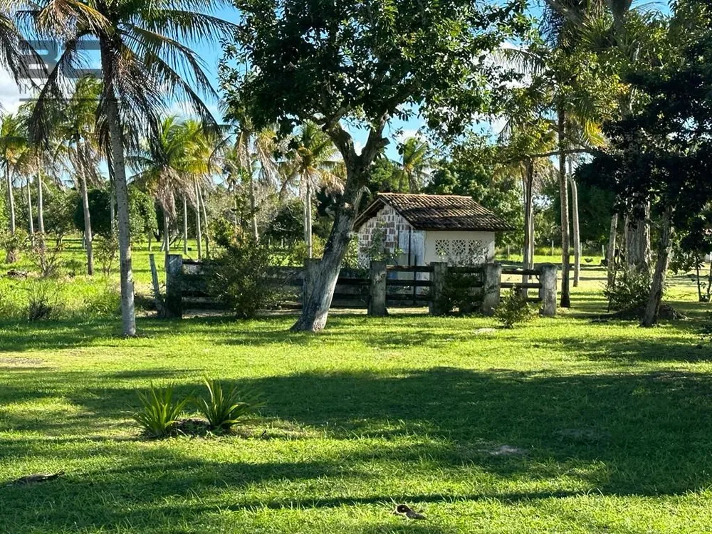 Chácara, 4 quartos - Foto 9
