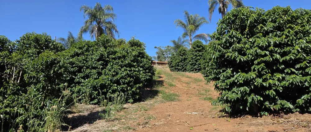 Sítio, 3 quartos, 19 hectares - Foto 1