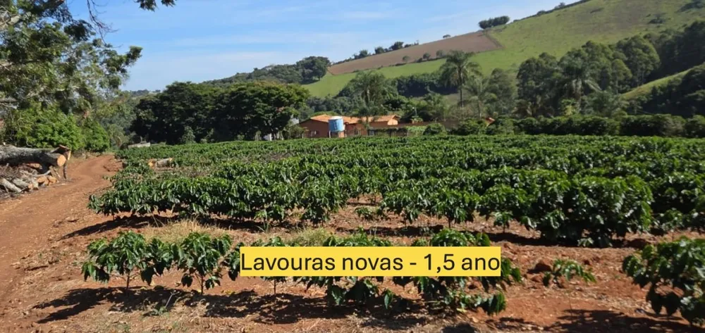 Sítio, 3 quartos, 19 hectares - Foto 12