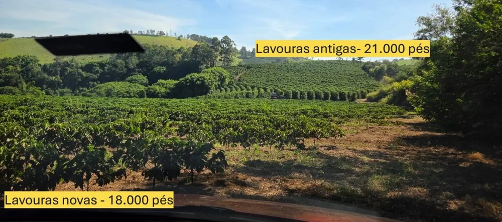 Sítio, 3 quartos, 19 hectares - Foto 13