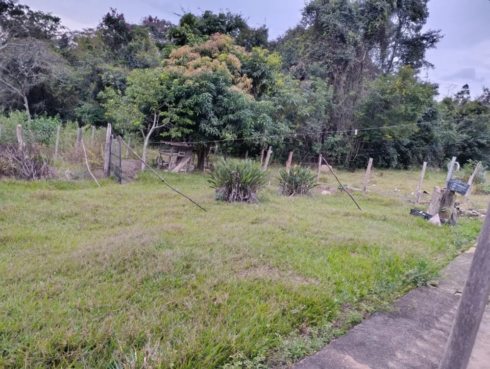 Chácara, 4 quartos - Foto 4