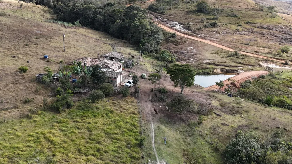 Fazenda, 309 hectares - Foto 4