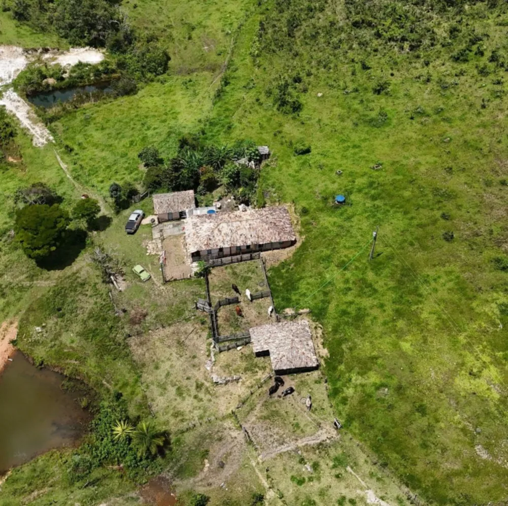 Fazenda, 309 hectares - Foto 6
