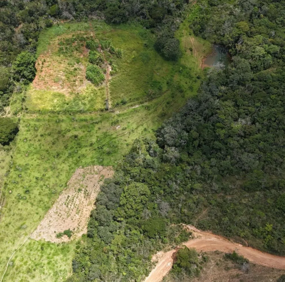 Fazenda, 309 hectares - Foto 9