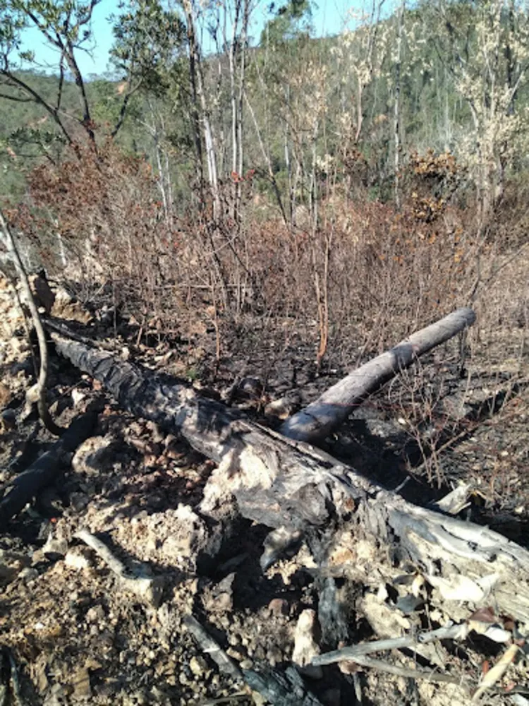 Terreno, 300 m² - Foto 8