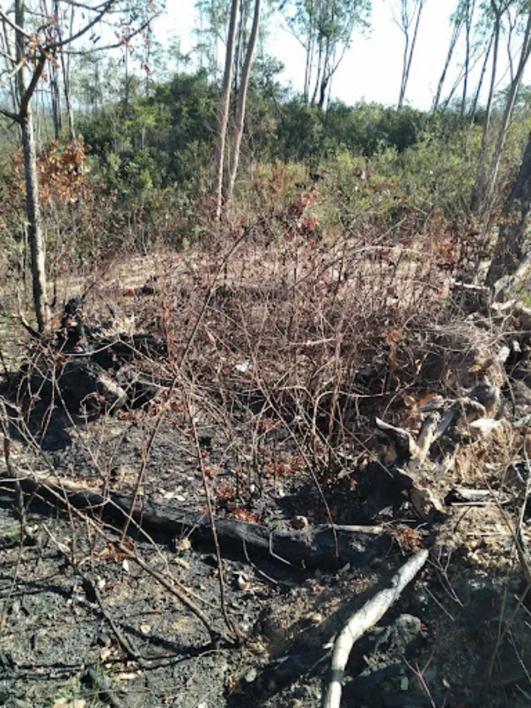 Terreno, 300 m² - Foto 5